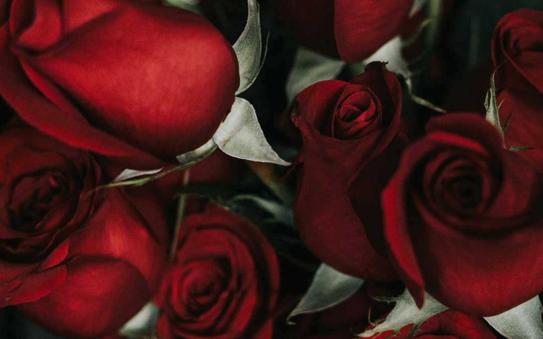 Alla hjärtans dag-meny